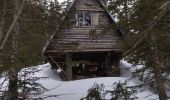 Randonnée Raquettes à neige Corrençon-en-Vercors - 38 cabane combe de fer et serre de play et goupette - Photo 4