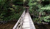 Randonnée Marche Libin - Promenade de la Lesse (8,6km)   - Photo 11