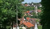 Tour Zu Fuß Bretten - Großer Brettener Südweg - Photo 3