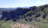 Tocht Stappen Murol - AUTOUR DU LAC CHAMBON  - Photo 19