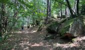 Trail Walking Lyas - Lyas  la Neuve  azur - Photo 15