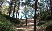 Tocht Stappen Bandol - Bandol Port d'Alon - Photo 5