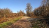 Excursión Senderismo Retheuil - en forêt de Retz_76_dans les forêts de Retz et de Compiègne - Photo 10