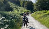 Trail Horseback riding Accous - Accous-Lescun-Lhers - Photo 3