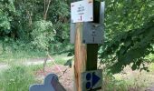 Trail Walking Ciney - Chevetogne 280622 - Photo 10