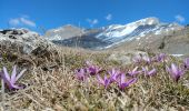 Trail Walking Le Vernet - 20190328_Le Vernet_Circuit des trois cabanes - Photo 9