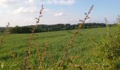 Tocht Noords wandelen Voeren - 240525 Osi FlC - Photo 3