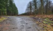 Tour Wandern Bouillon - Rochehaut 190323 - Photo 19