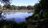 Excursión Senderismo Cléré-sur-Layon - Cléré-sur-Layon  - Photo 3