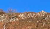 Randonnée Marche Sare - Col en col la Rhune SARE  - Photo 3