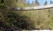 Tour Wandern Saint-Jean-d'Arvey - Remontée de la Leysse-2021-04-22 - Photo 5