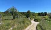 Trail  Calvisson - Balade entre Calvisson et Aigues Vives - Photo 10