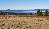 Trail Walking Le Hohwald - hohwald - champ du feu - Photo 1
