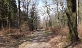 Trail Walking Spa - barisart creppe évoque berinzenne geronstere barisart  - Photo 6