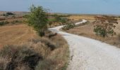 Tour Wandern Cervatos de la Cueza - San Nicolas  - Photo 1