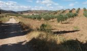 Trail Walking Estella-Lizarra - Mis Arcos - Photo 2