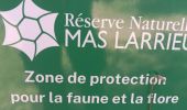 Trail Walking Argelès-sur-Mer - mss larrieu et le tech  - Photo 9