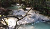 Trail Walking Plan-d'Aups-Sainte-Baume - L'huveaune - Photo 3