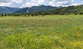 Tour Wandern La Motte-Chalancon - La Motte Chalancon - Plateau de la Chau - Photo 12