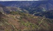 Trail Walking Prévenchères -  Gorges de Chassezac - Photo 1