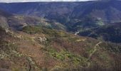 Tocht Stappen Prévenchères -  Gorges de Chassezac - Photo 1