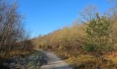 Tour Wandern Maasmechelen - Terhills et son pont flottant  - Photo 5