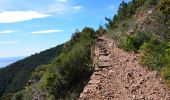 Tour Wandern Saint-Raphaël - Rouge 2 (Partiel) : Col ND - Col des Lentisques - Pic de l'Ours - Dent de l'Ours - Col ND - Col de la Cadière - Col des Replats - GR 51 - Photo 17