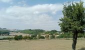 Trail Walking Montmirail - Montmirail du 28/08/2022 - Photo 1