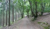 Trail On foot Unknown - A4 - Eiserner Anton - Photo 6