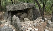 Randonnée Marche Cabasse - Cabasse - Lac de Carcès - Issole - ND du Glaive - Dolmen de la Gastée - Photo 4