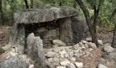 Percorso Marcia Cabasse - Cabasse - Lac de Carcès - Issole - ND du Glaive - Dolmen de la Gastée - Photo 4