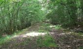 Trail Mountain bike Saint-Clément - sortie vtt du 07062020 Embermenil - Photo 10