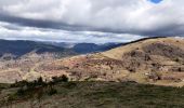 Tour Wandern Ventron - 2022-02-19 Marche Ventron Tête des Champs - Photo 3