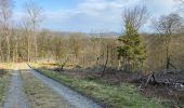 Tour Wandern Herbeumont - Herbeumont 20 km - Photo 4