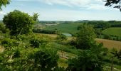 Trail Walking Teyssode - naudet - Photo 2