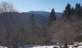 Randonnée Marche Sewen - Lac d'Alfed et sa cascade - tour au pied du Ballon d'Alsace - Photo 12