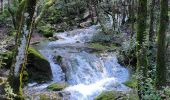 Randonnée Marche Nans-les-Pins - 