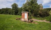 Tour Zu Fuß Euskirchen - EifelSchleife Kloster Schweinheim - Photo 10