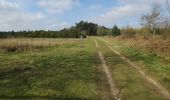 Tour Zu Fuß West Suffolk - Forest and Heath Trail - Photo 7