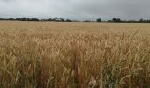 Randonnée Marche Mesnil-en-Ouche - Autour de Granchain - Photo 1