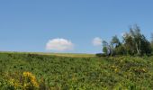 Tocht Stappen Bouillon - rando botassart 24-05-2023 - Photo 3