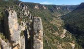 Excursión Senderismo Saint-Pierre-des-Tripiers - Les corniches du Méjean (Jonte) et du Tarn au départ de Cassagnes - Photo 15