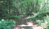 Trail Walking Piencourt - Piencourt - Photo 3