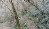 Trail On foot Sarrance - SARRANCE / ACCOUS collecte numerique GR 653 10 - Photo 20