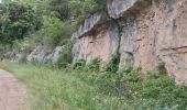 Trail Walking Signes -  vallon d,anis - Photo 3