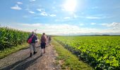 Trail Walking Blandy - Boucle 21 km Blandy - Bombom - St Mery - Champeaux - Photo 11