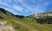 Trail Walking Bellecombe-en-Bauges - Tour de BancPlat, Dent des portes en partant du petit reposoir  - Photo 12