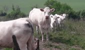 Tocht Noords wandelen Corsaint - turley circuit  - Photo 2