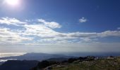 Randonnée Marche Évenos - Mont Caume  sommet ouest - Photo 1