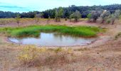 Tour Wandern Flassans-sur-Issole - SityTrail - Flassans rando Redon 2 - Photo 9